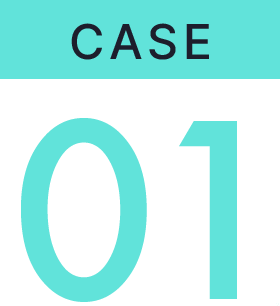 CASE01